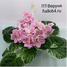 ПТ-Веруня (Пугачева)
